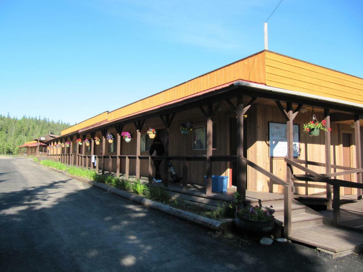 White Moose Lodge Healy Exterior foto